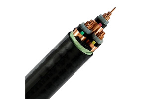 Трехжильный кабель N2XSEY (CU/ XLPE/CTS/PVC)