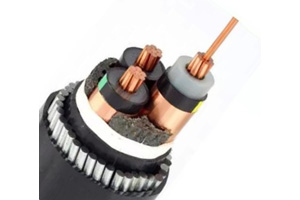 Трехжильный кабель N2XSERY (CU/ XLPE/CTS/PVC)