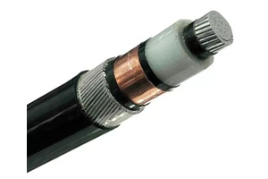 Одножильный кабель NA2XSRY (AL/XLPE/SWA/PVC)